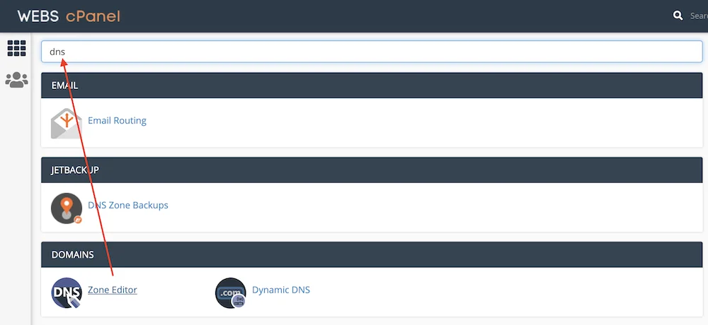 cPanel and DNS Settings